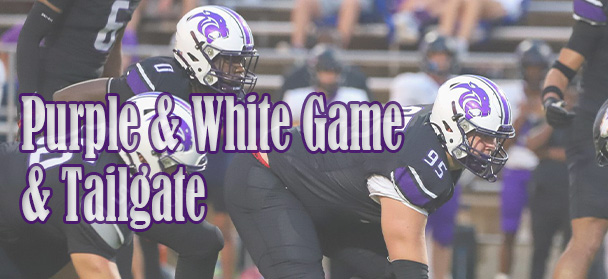  purple and white game 